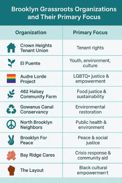 This chart highlights the diverse missions of grassroots groups in Brooklyn