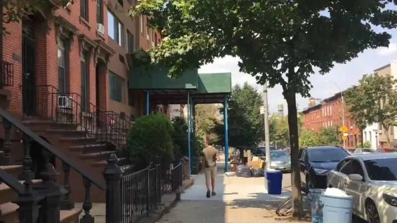 Person walking on a sidewalk next to brick townhouses and parked cars on a leafy Brooklyn street