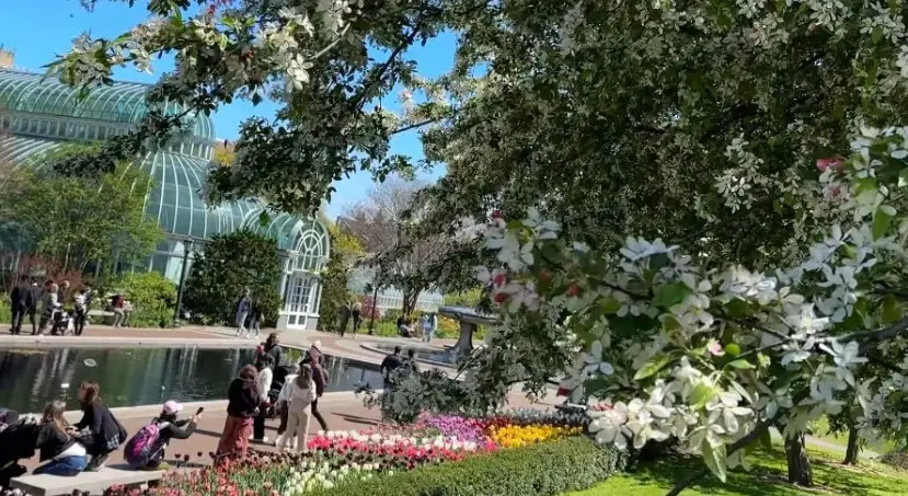 A look at people enjoying New York Botanical Garden on a sunny day