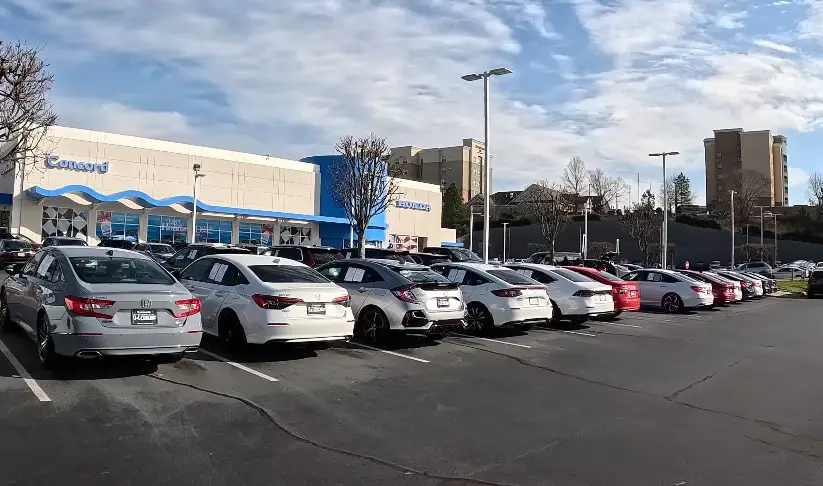 Various Honda models lined up in a dealership parking lot