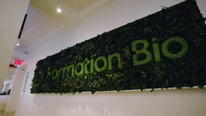 Formation Bio’s green living-wall logo display inside a modern New York office space