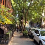 A street view featuring parked cars on one side, bordered by lush green trees along the sidewalk